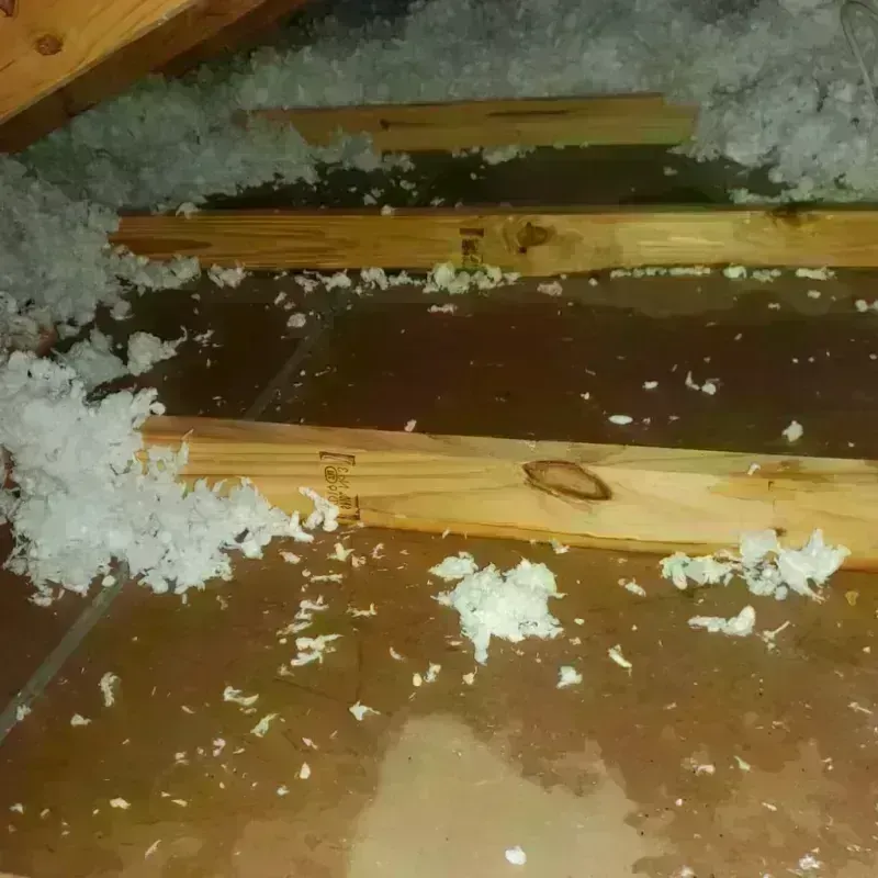 Attic Water Damage in University, FL